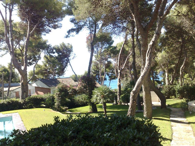 Chalet in Roda de Bara, Spanien, 250 m² - Foto 2