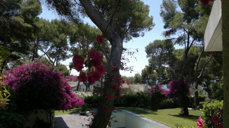 Chalet in Roda de Bara, Spanien, 250 m² - Foto 7