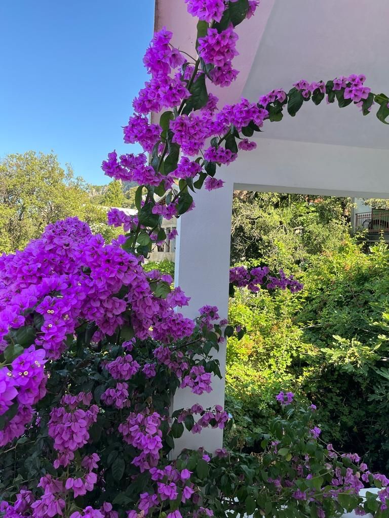 Casa a Kruče, Montenegro, 80 m² - foto 2