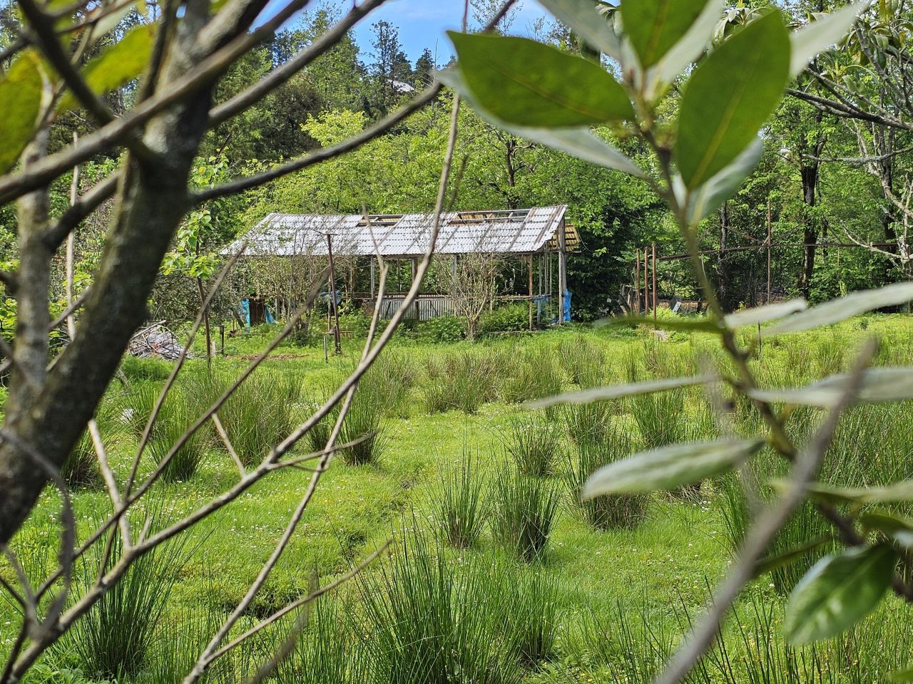 Land in Batumi, Georgia, 505 m² - picture 1