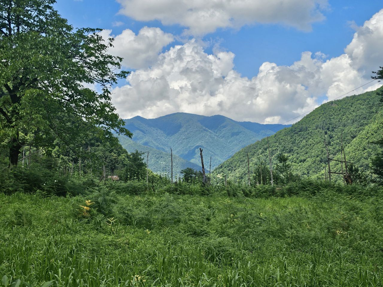 Land in Batumi, Georgia, 2 800 m² - picture 1