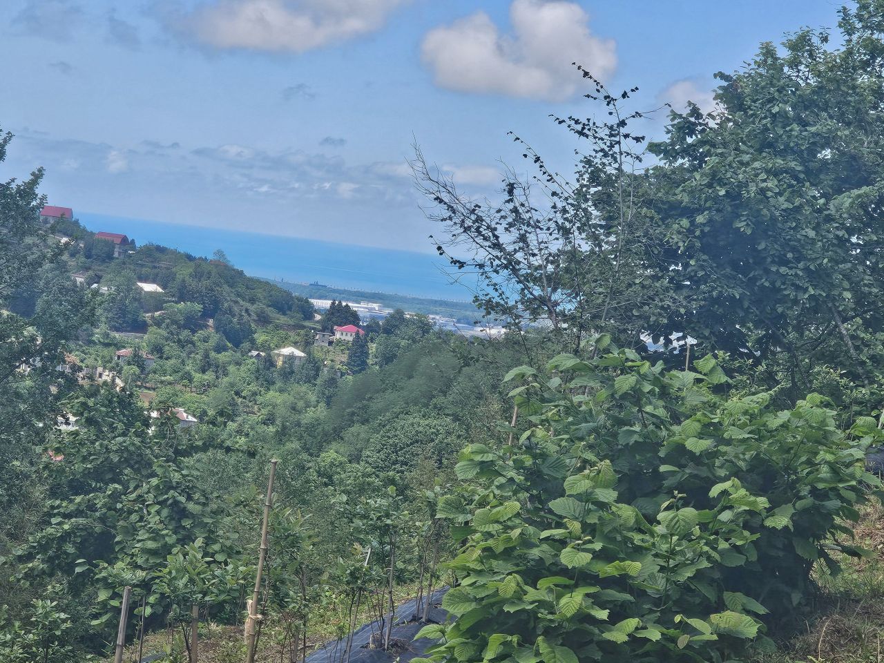 Land in Batumi, Georgia, 2 300 m² - picture 15