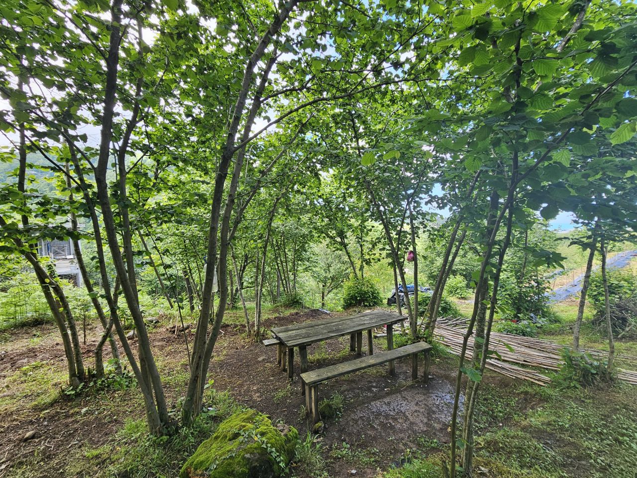 Land in Batumi, Georgia, 2 300 m² - picture 2