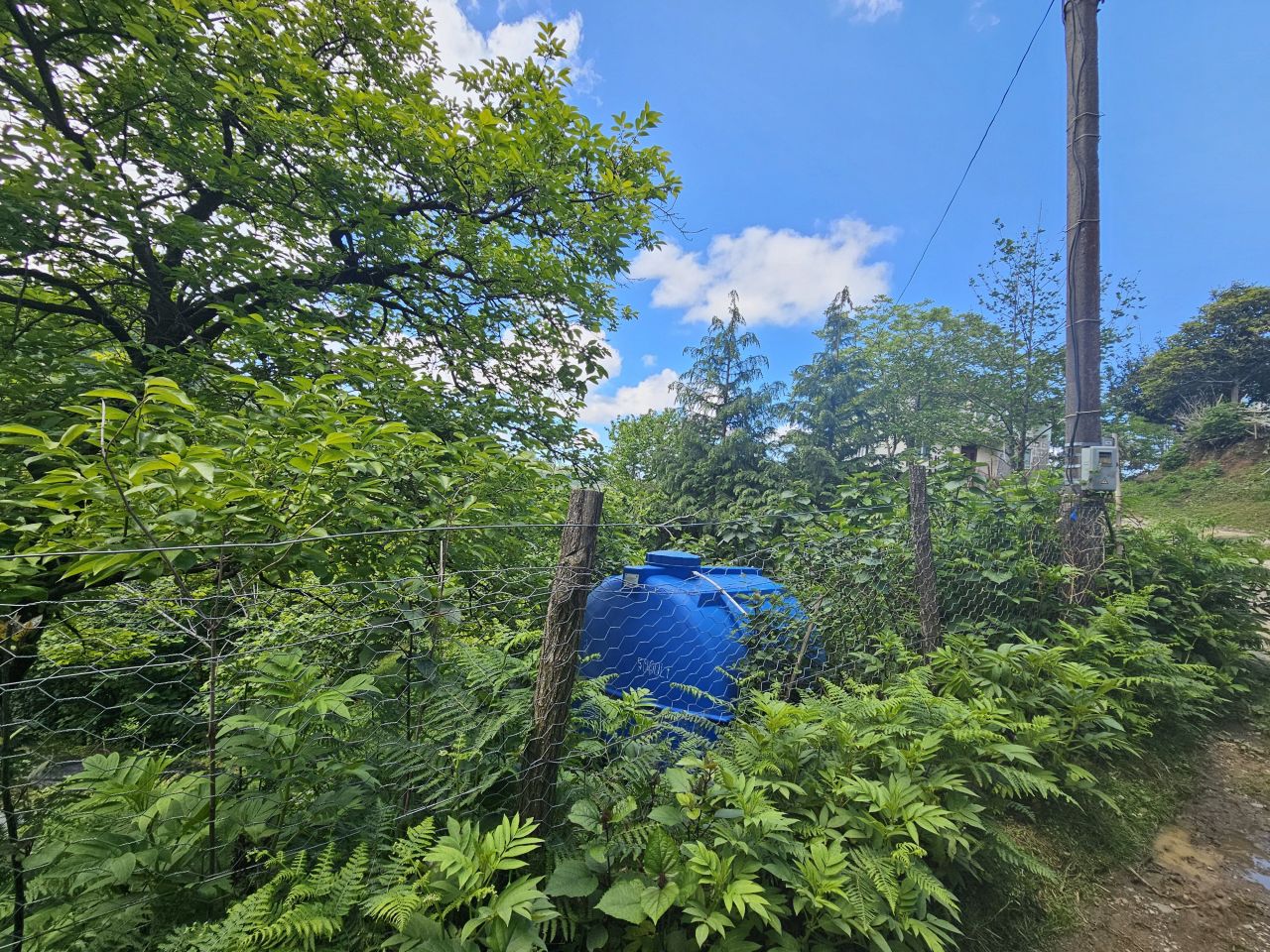 Land in Batumi, Georgia, 2 300 m² - picture 7