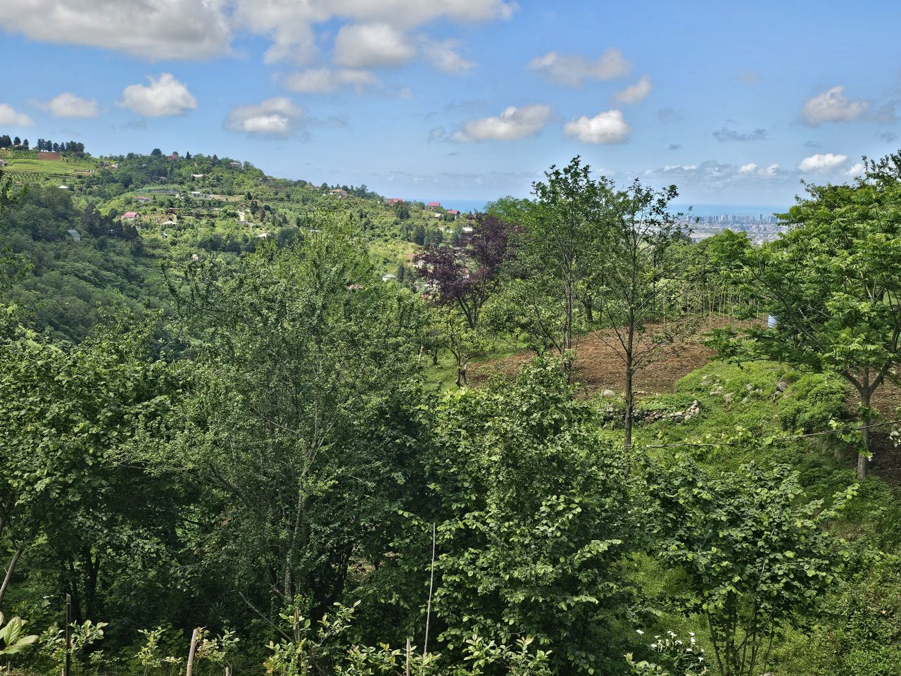 Land in Batumi, Georgia, 2 300 m² - picture 11