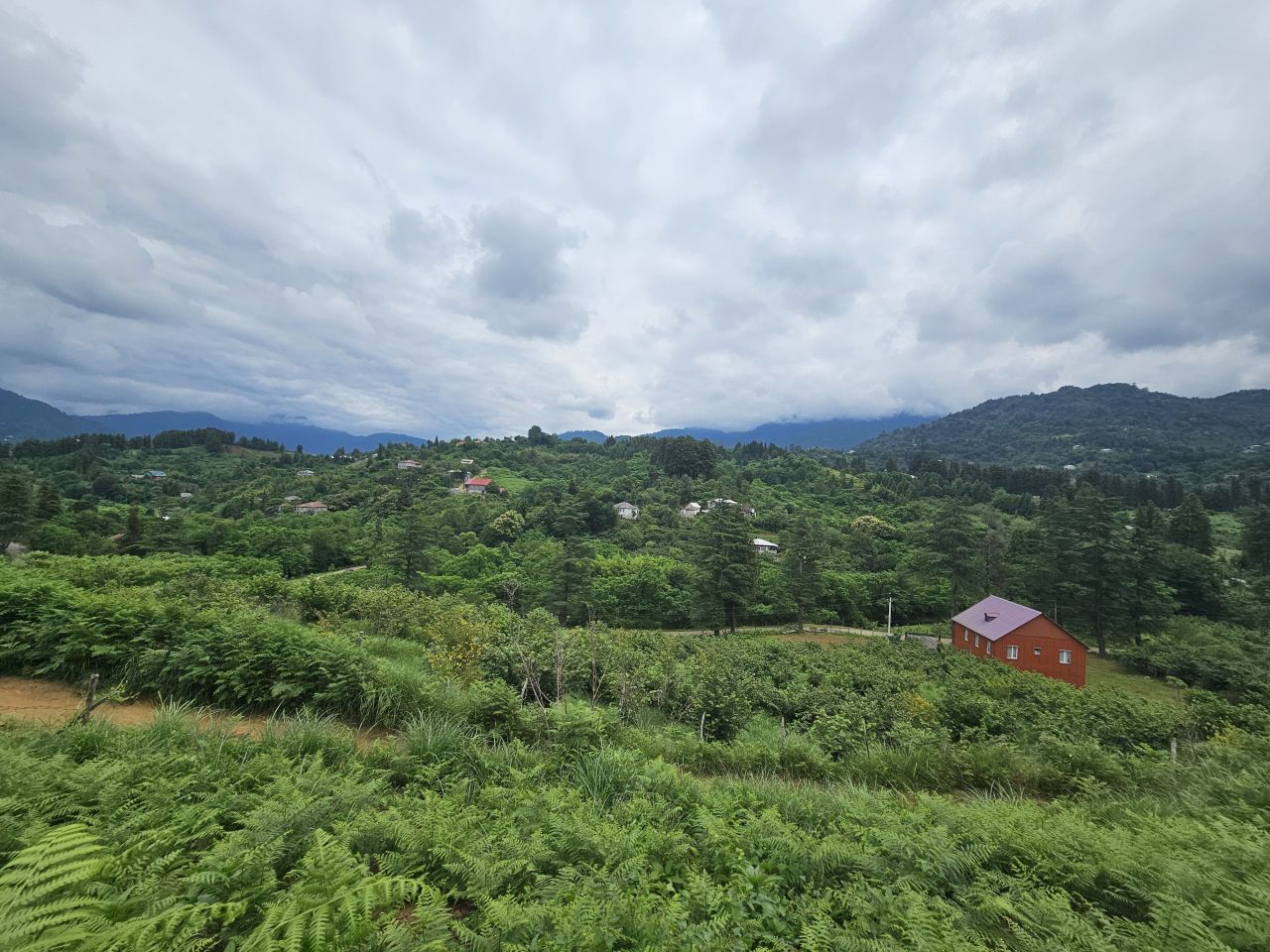 Land in Batumi, Georgia, 3 300 m² - picture 9