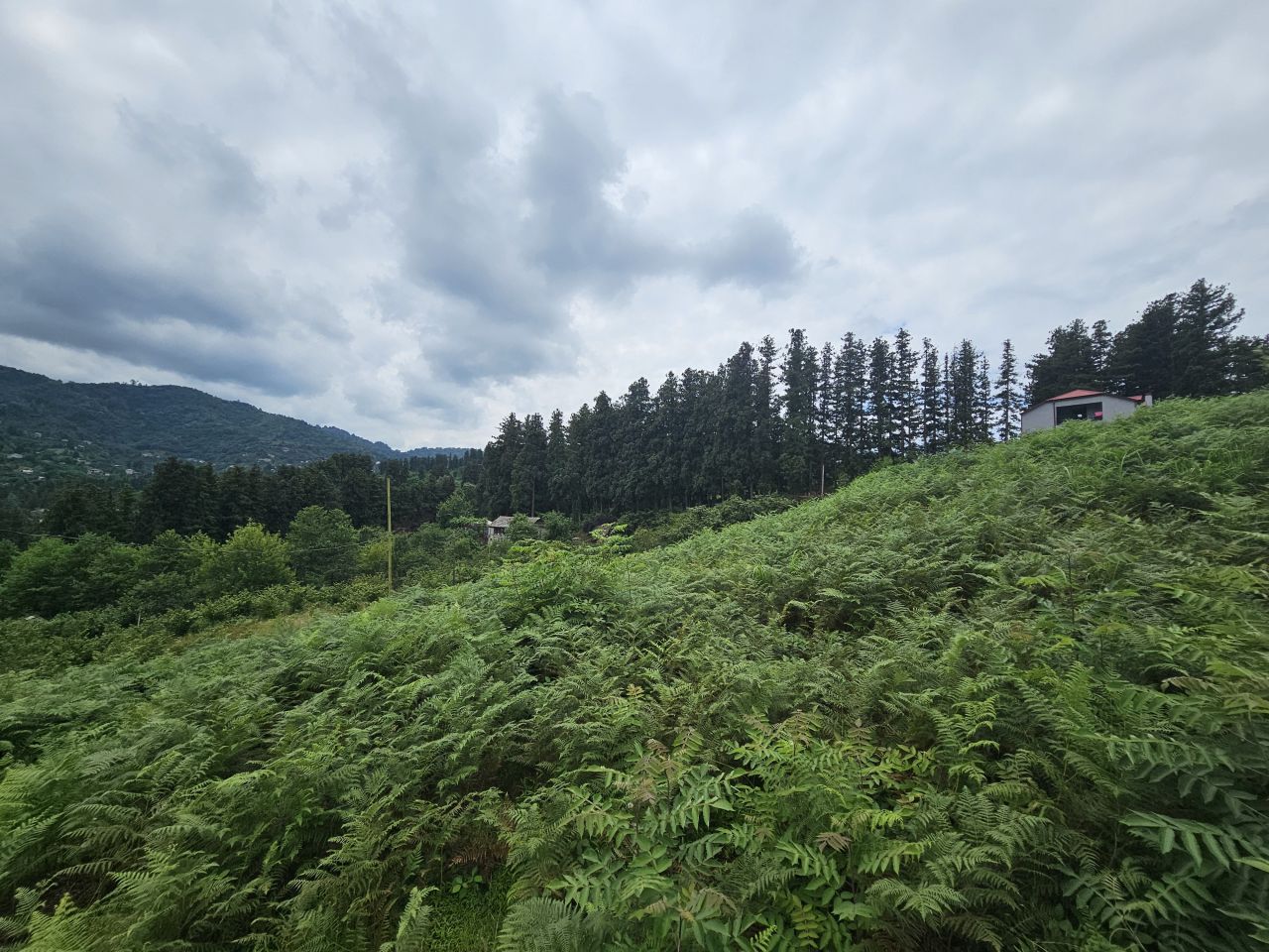 Land in Batumi, Georgia, 3 300 m² - picture 5