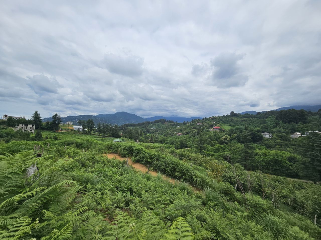 Land in Batumi, Georgia, 3 300 m² - picture 2