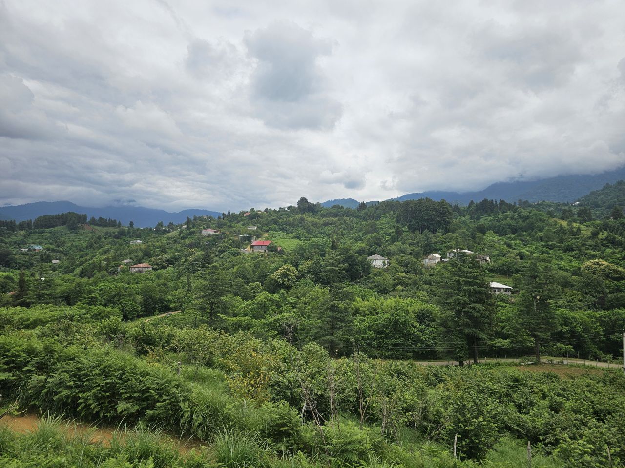 Land in Batumi, Georgia, 3 300 m² - picture 3