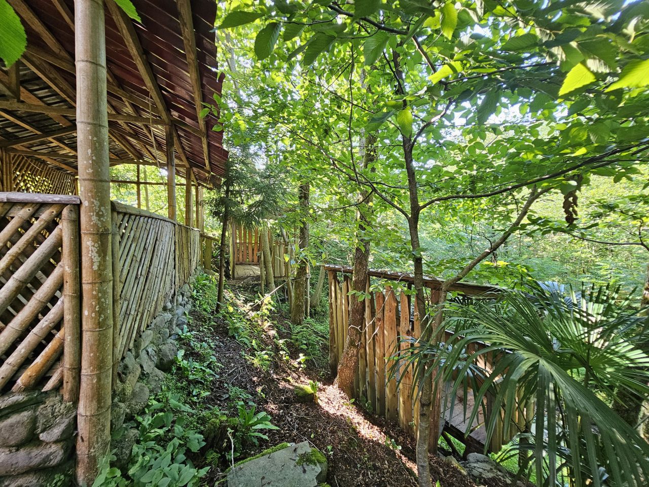 Land in Batumi, Georgia, 1 540 m² - picture 6