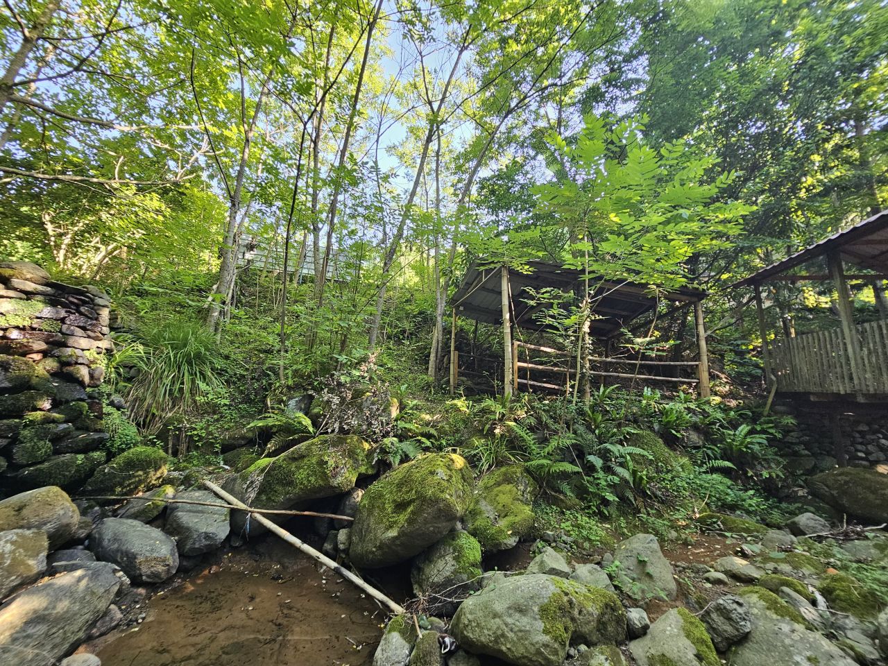 Land in Batumi, Georgia, 1 540 m² - picture 12