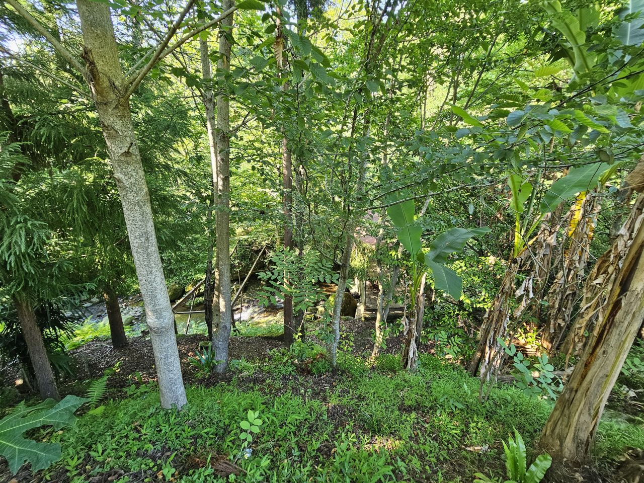 Land in Batumi, Georgia, 1 540 m² - picture 3