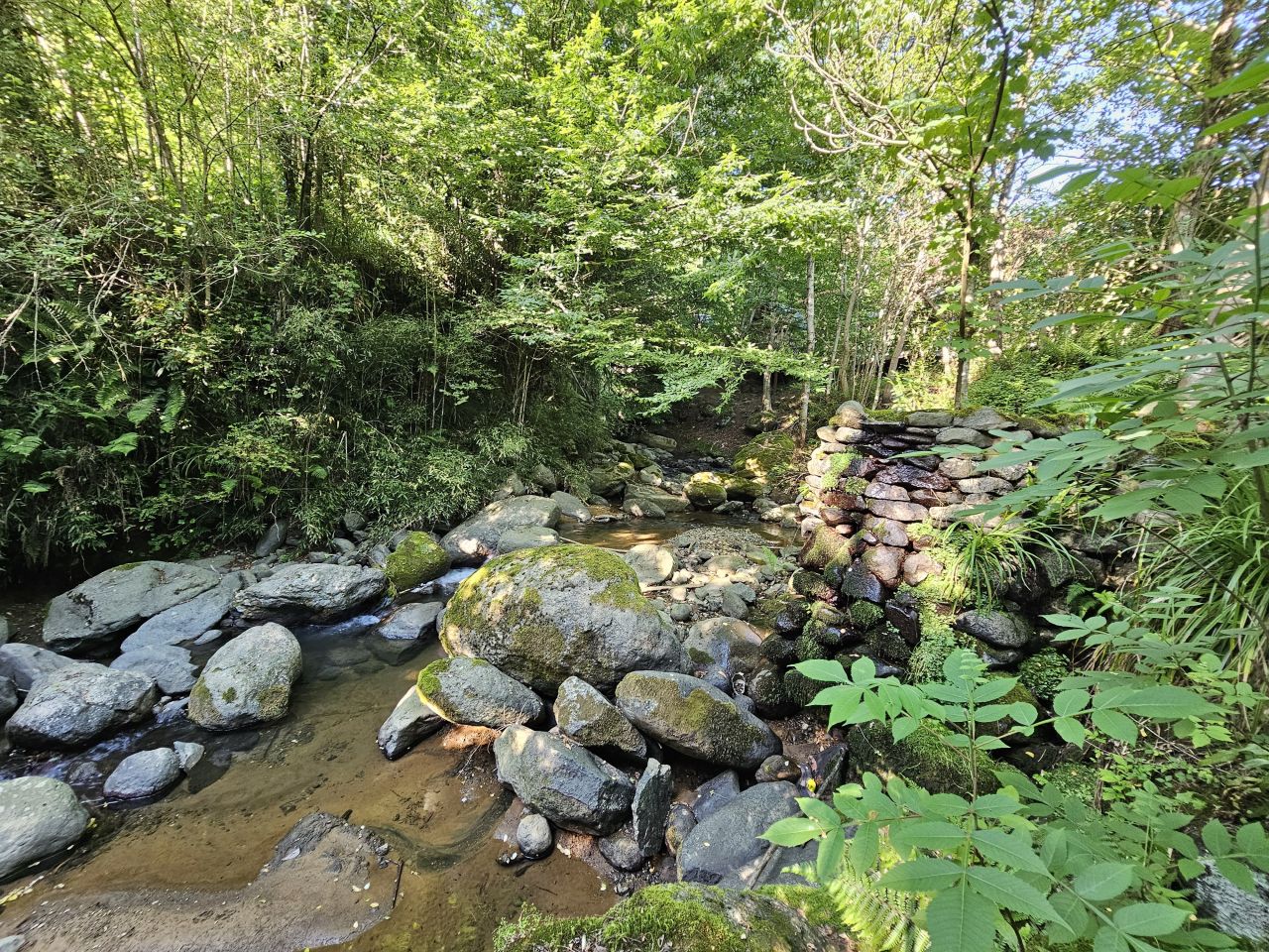 Land in Batumi, Georgia, 1 540 m² - picture 10