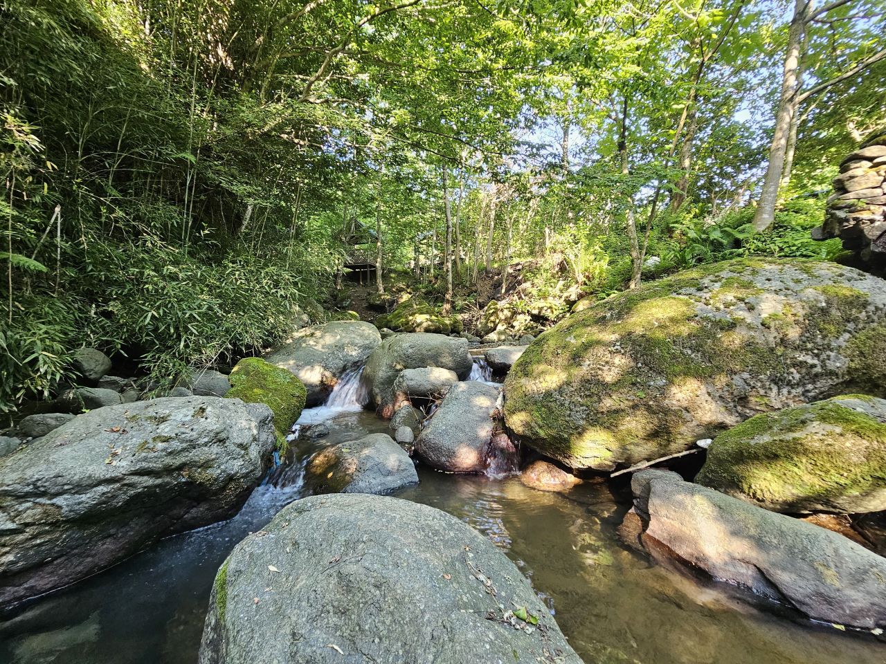 Land in Batumi, Georgia, 1 540 m² - picture 11