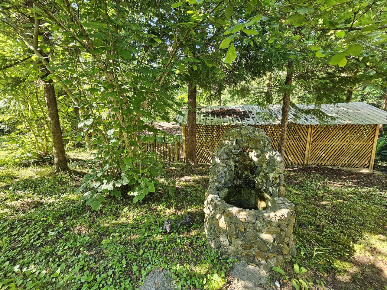 Land in Batumi, Georgia, 1 540 m² - picture 5