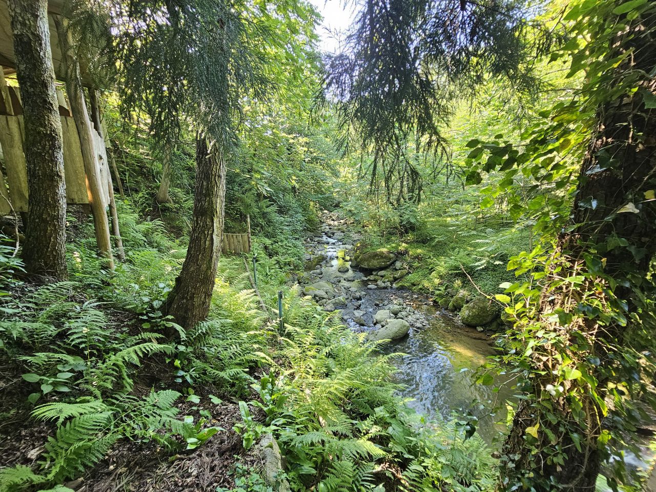 Land in Batumi, Georgia, 1 540 m² - picture 8