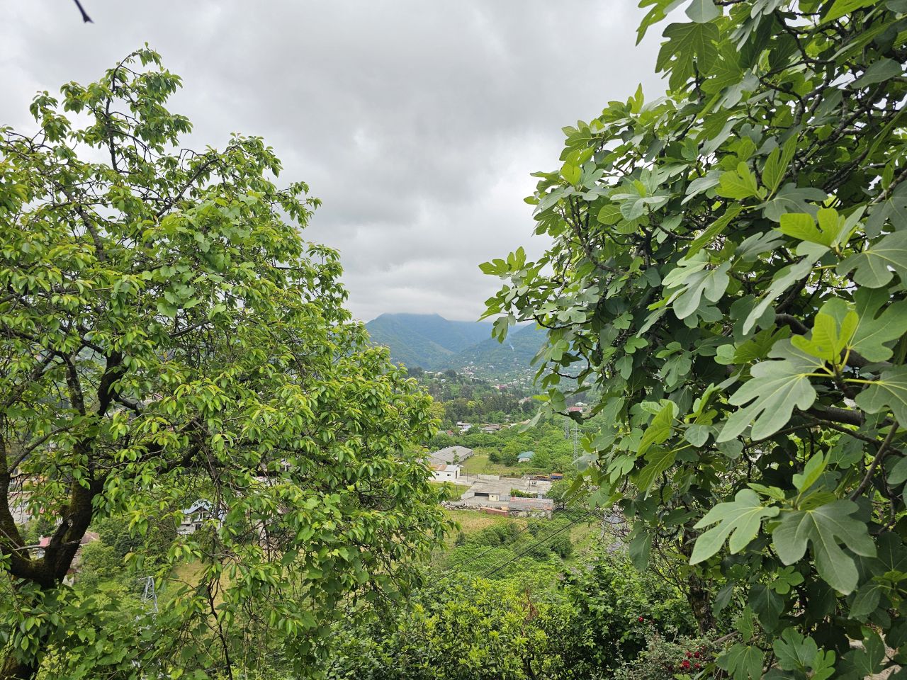 Maison à Batoumi, Géorgie, 300 m² - image 7