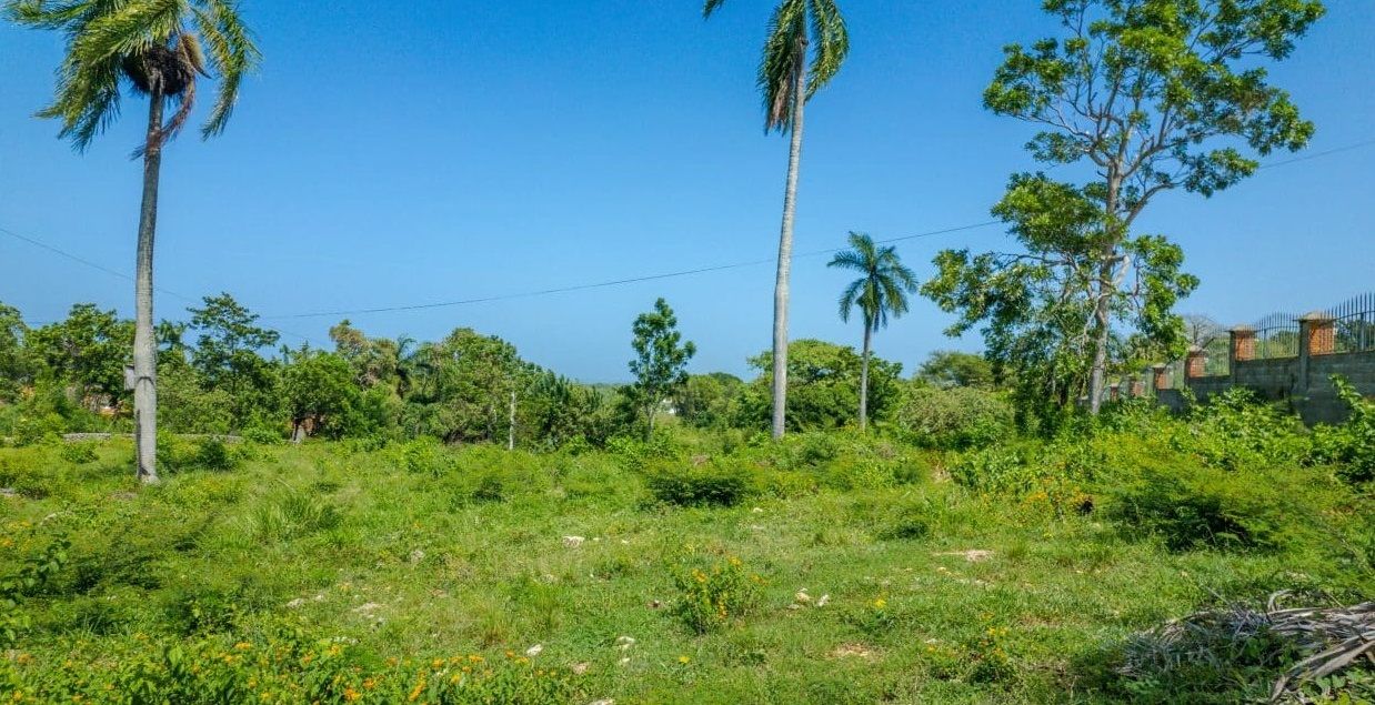 Terreno a Sosua, Repubblica Dominicana, 3 000 m2 - foto 2