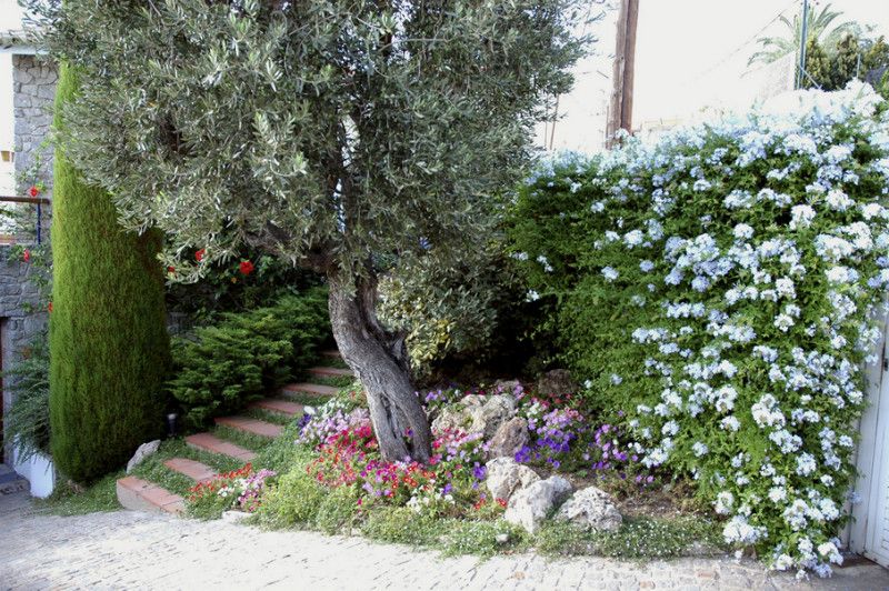 Chalet à Alella, Espagne, 412 m² - image 7