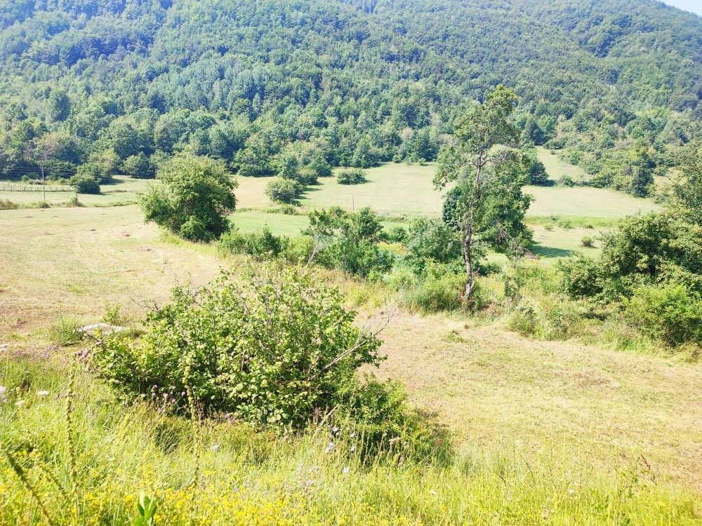 Terrain à Šavnik, Monténégro, 10 659 m² - image 1