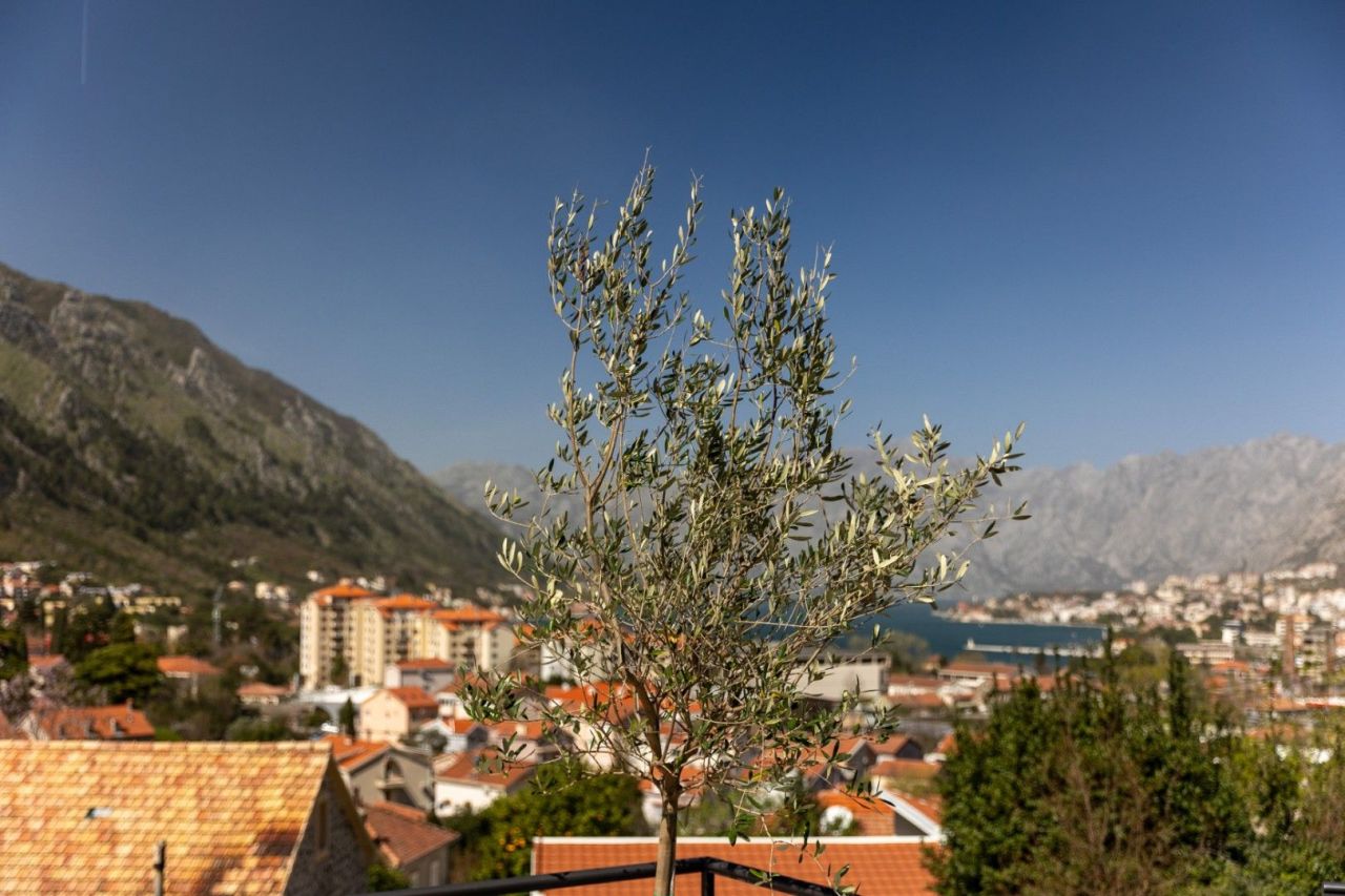 Casa en Kotor, Montenegro, 160 m² - imagen 15