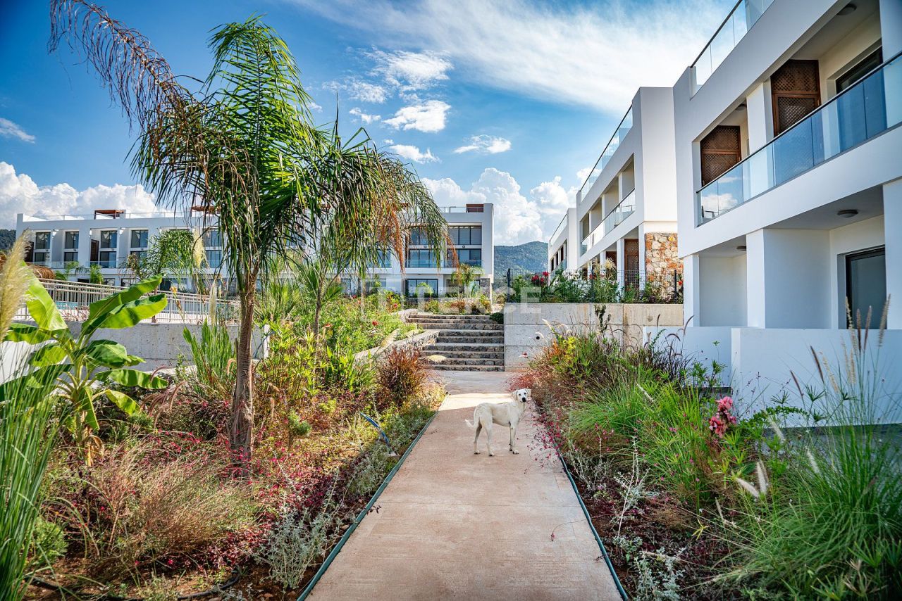 Penthouse à Kyrenia, Chypre, 55 m² - image 5