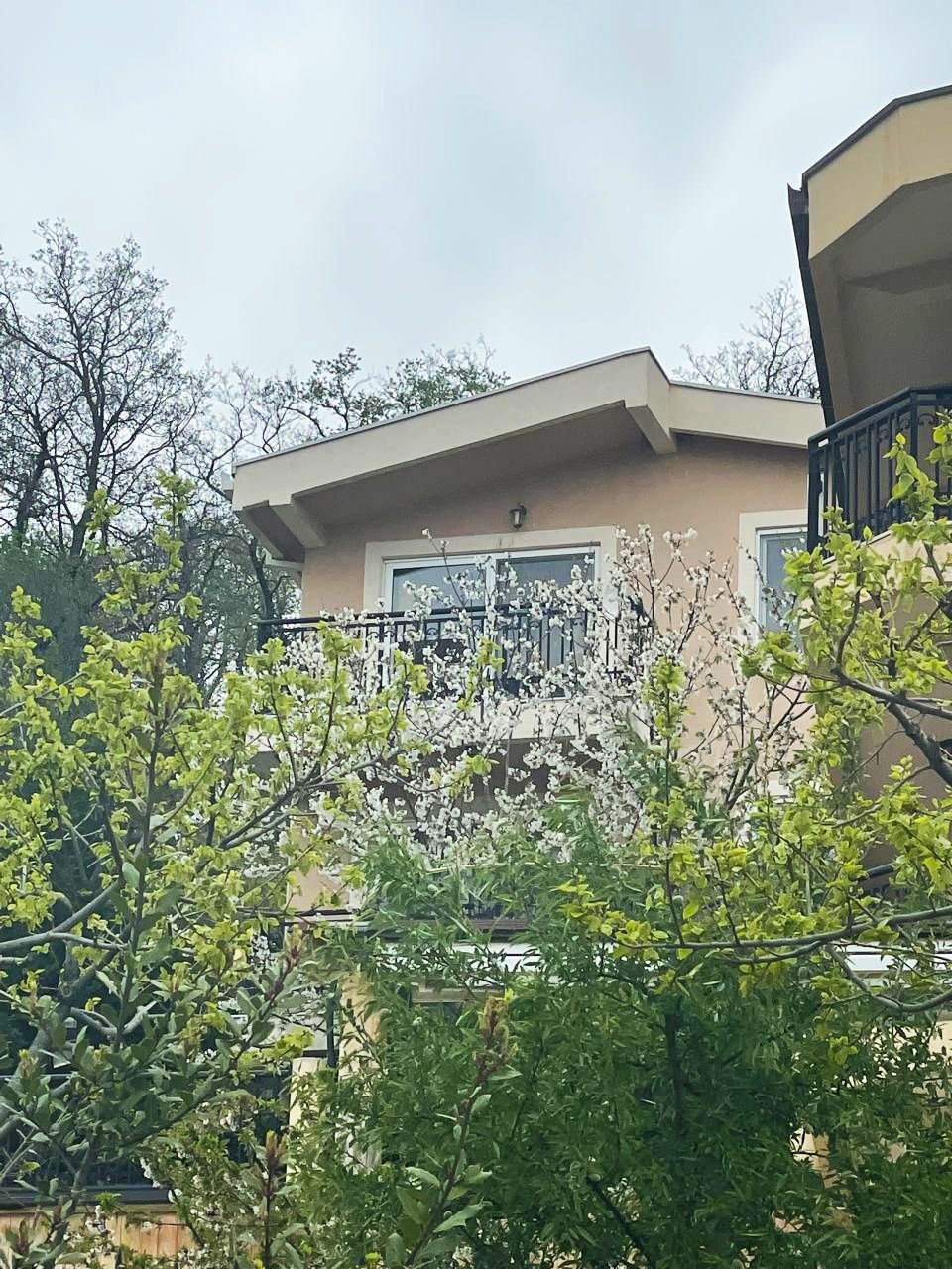 Flat in Bar, Montenegro, 76 m² - picture 9