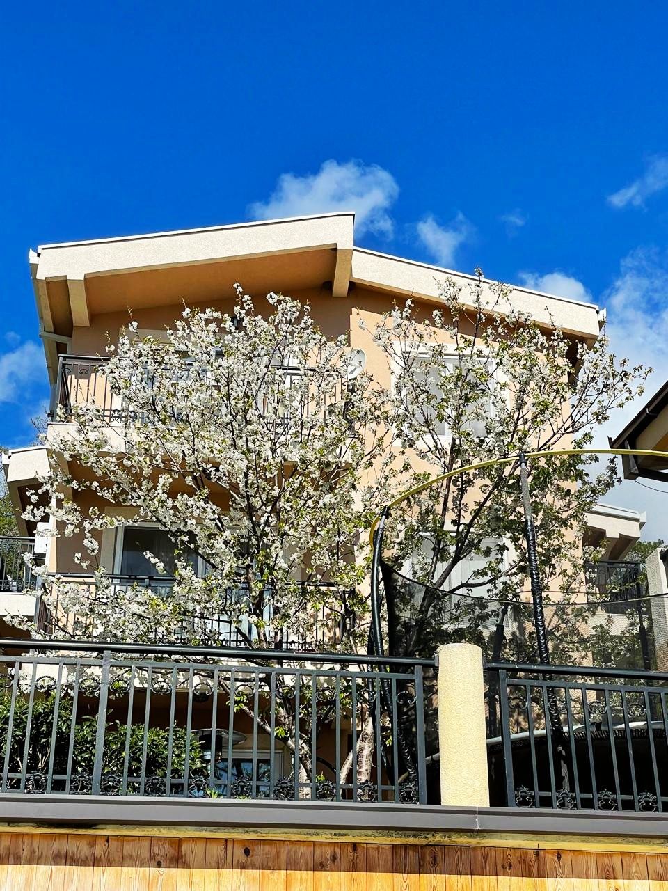 Flat in Bar, Montenegro, 76 m² - picture 11