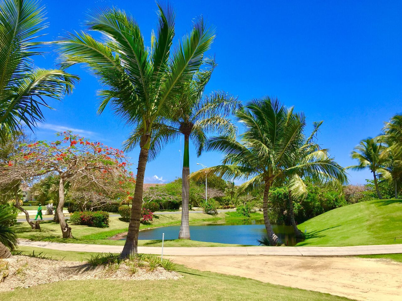 Appartement à Bavaro, République dominicaine, 67 m² - image 11