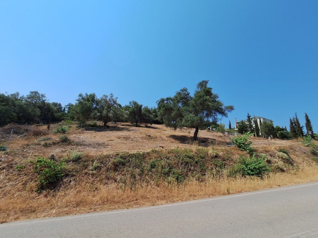 Land in Corfu, Greece, 2 776 m² - picture 15