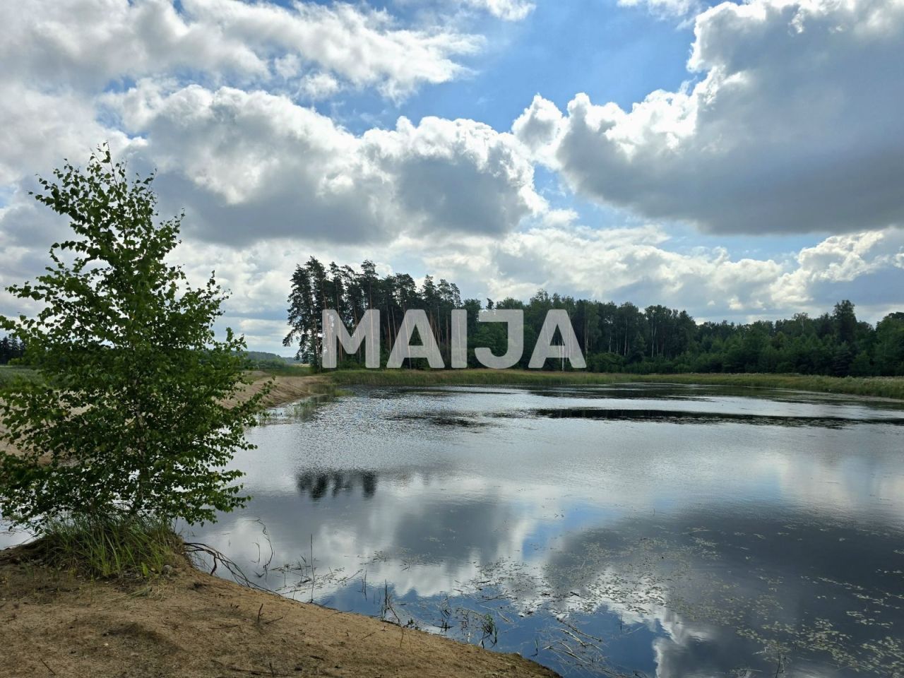 Terrain Musa, Lettonie, 431 000 m² - image 10