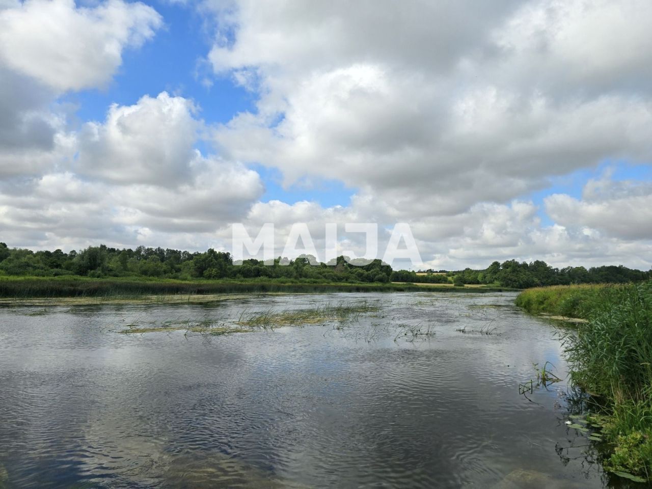 Terrain Musa, Lettonie, 431 000 m² - image 14