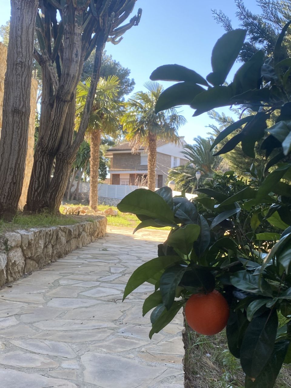 Villa in Salou, Spain, 489 m² - picture 6