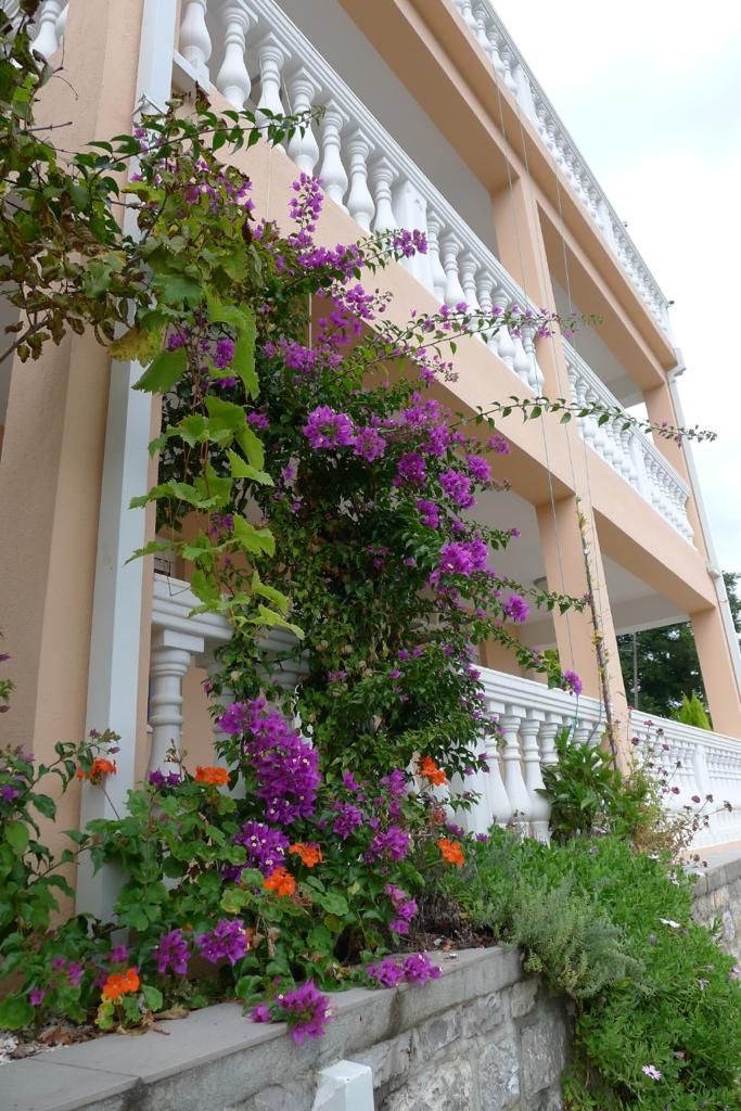 House in Baosici, Montenegro, 178 m² - picture 2