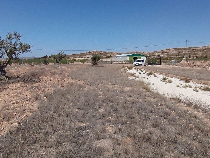 Land in Jumilla, Spain, 6 900 m² - picture 1