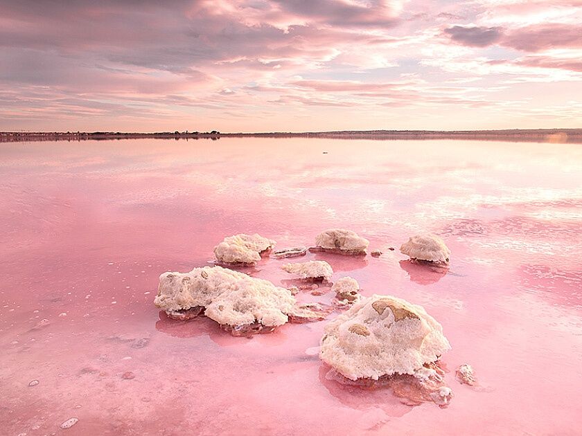 Villa in Torrevieja, Spain, 122 m² - picture 17