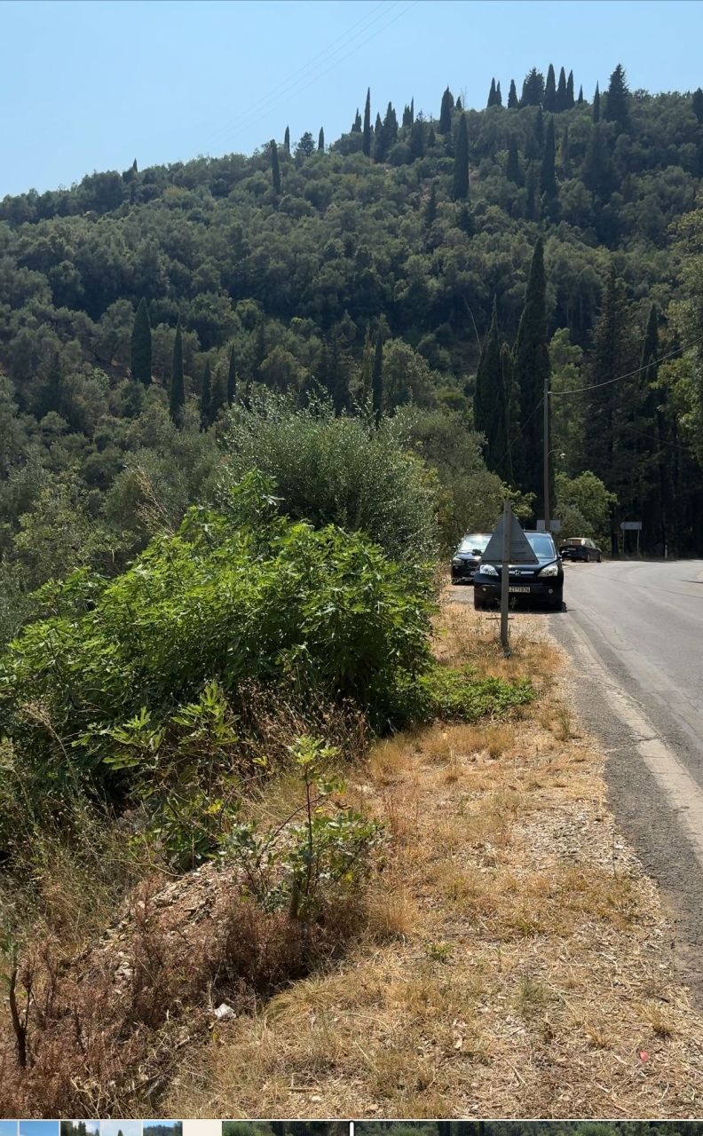 Land in Corfu, Greece, 2 043 m² - picture 5
