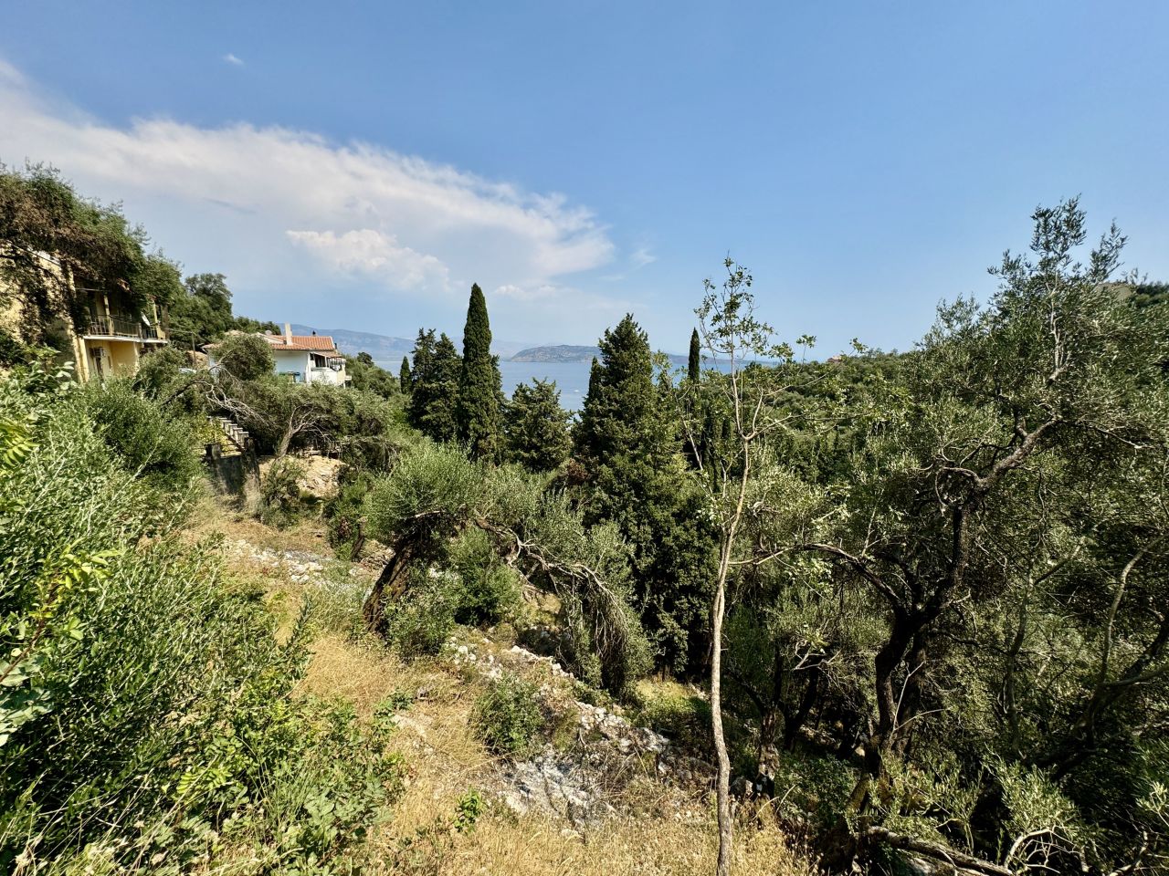 Land in Corfu, Greece, 2 043 m² - picture 10