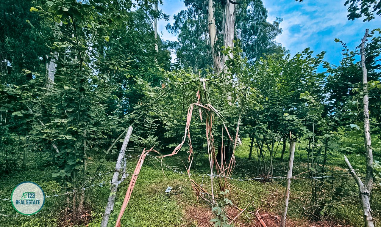 Terreno en Batumi, Georgia, 435 m² - imagen 3