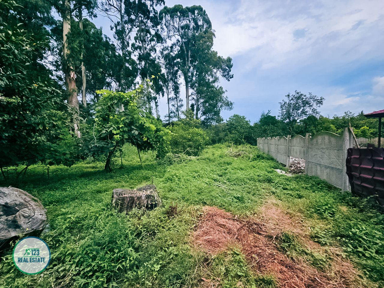 Terreno en Batumi, Georgia, 435 m² - imagen 8