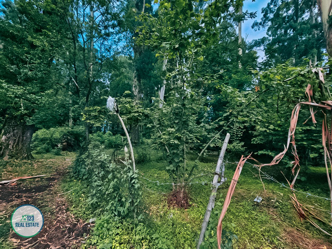 Terreno en Batumi, Georgia, 435 m² - imagen 2