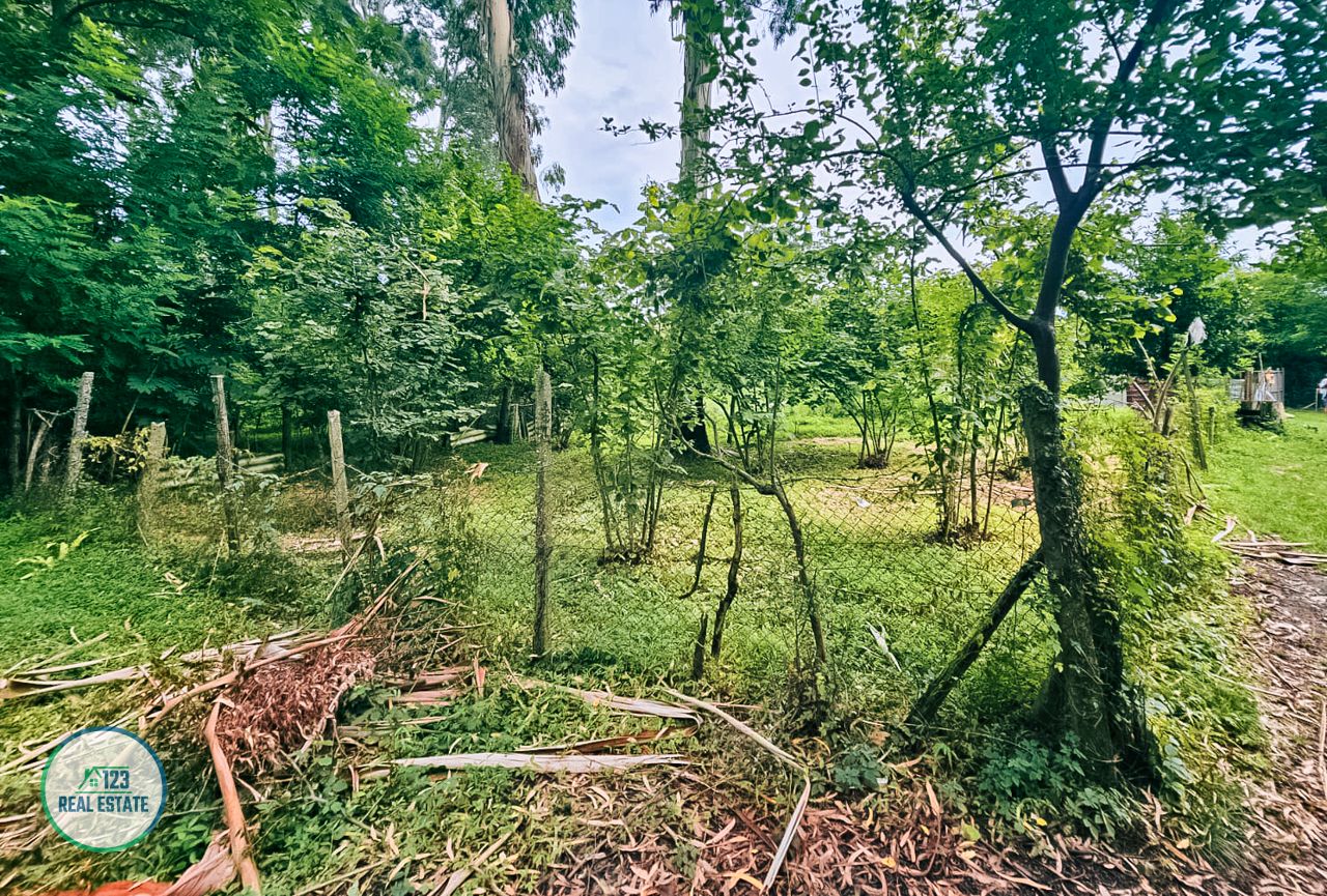 Terreno en Batumi, Georgia, 435 m² - imagen 10