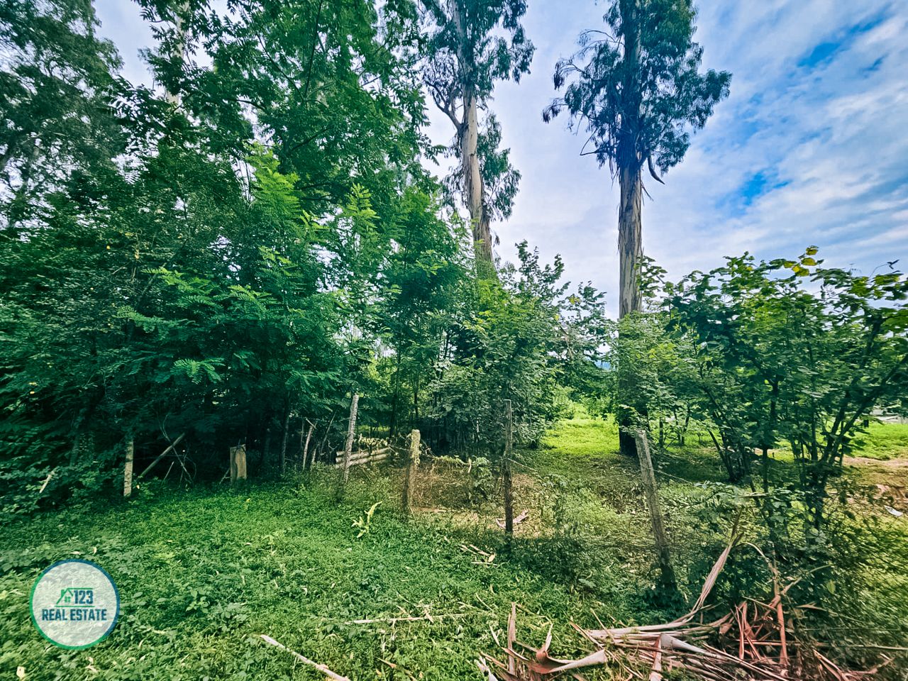 Terreno en Batumi, Georgia, 435 m² - imagen 9