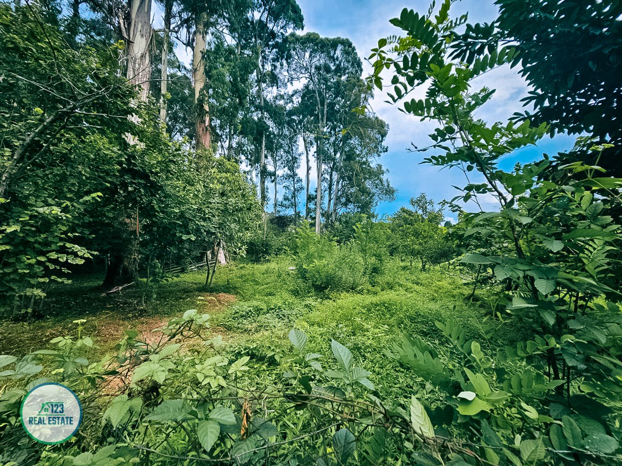 Terreno en Batumi, Georgia, 435 m² - imagen 6