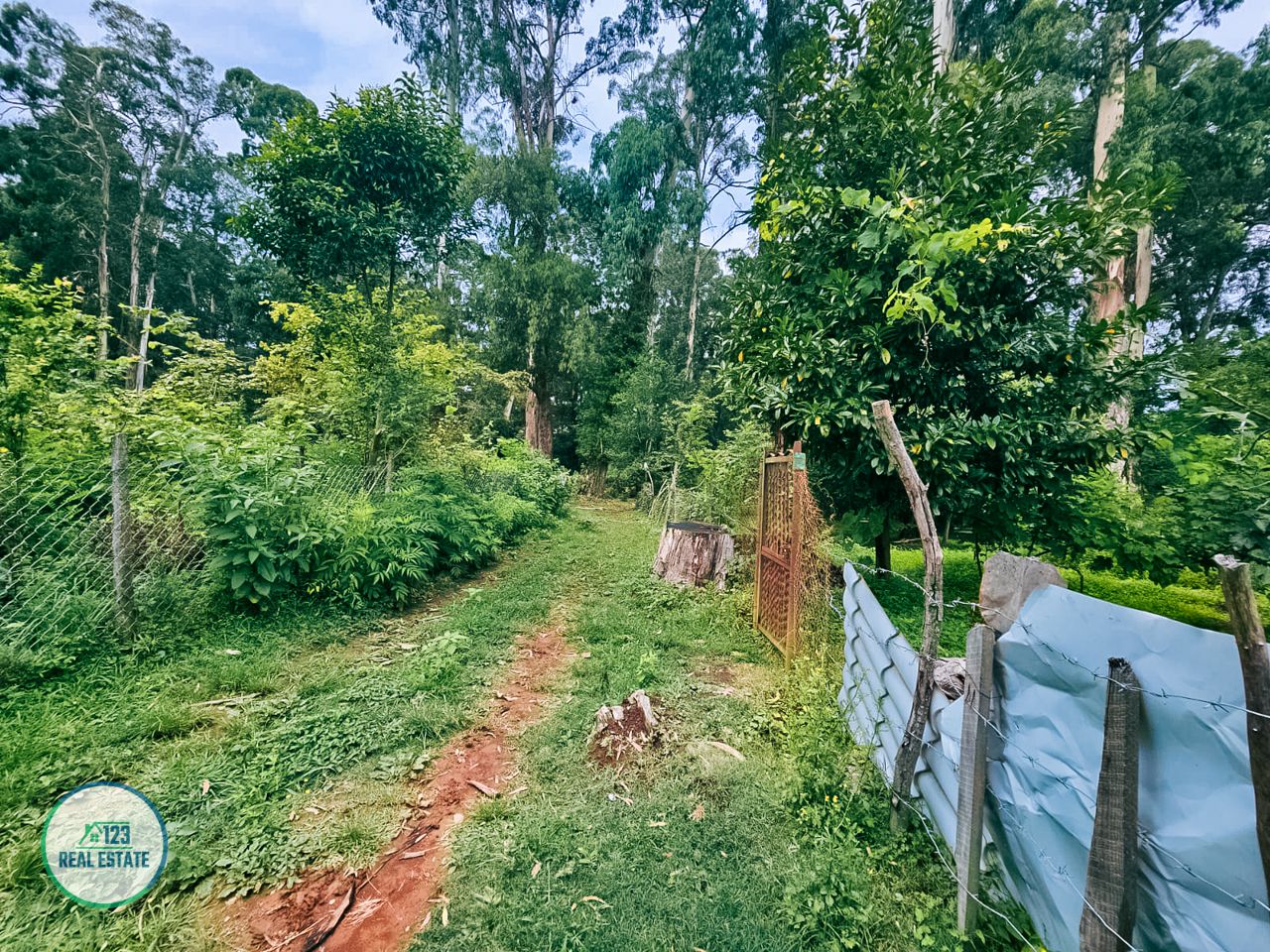 Terreno en Batumi, Georgia, 435 m² - imagen 7