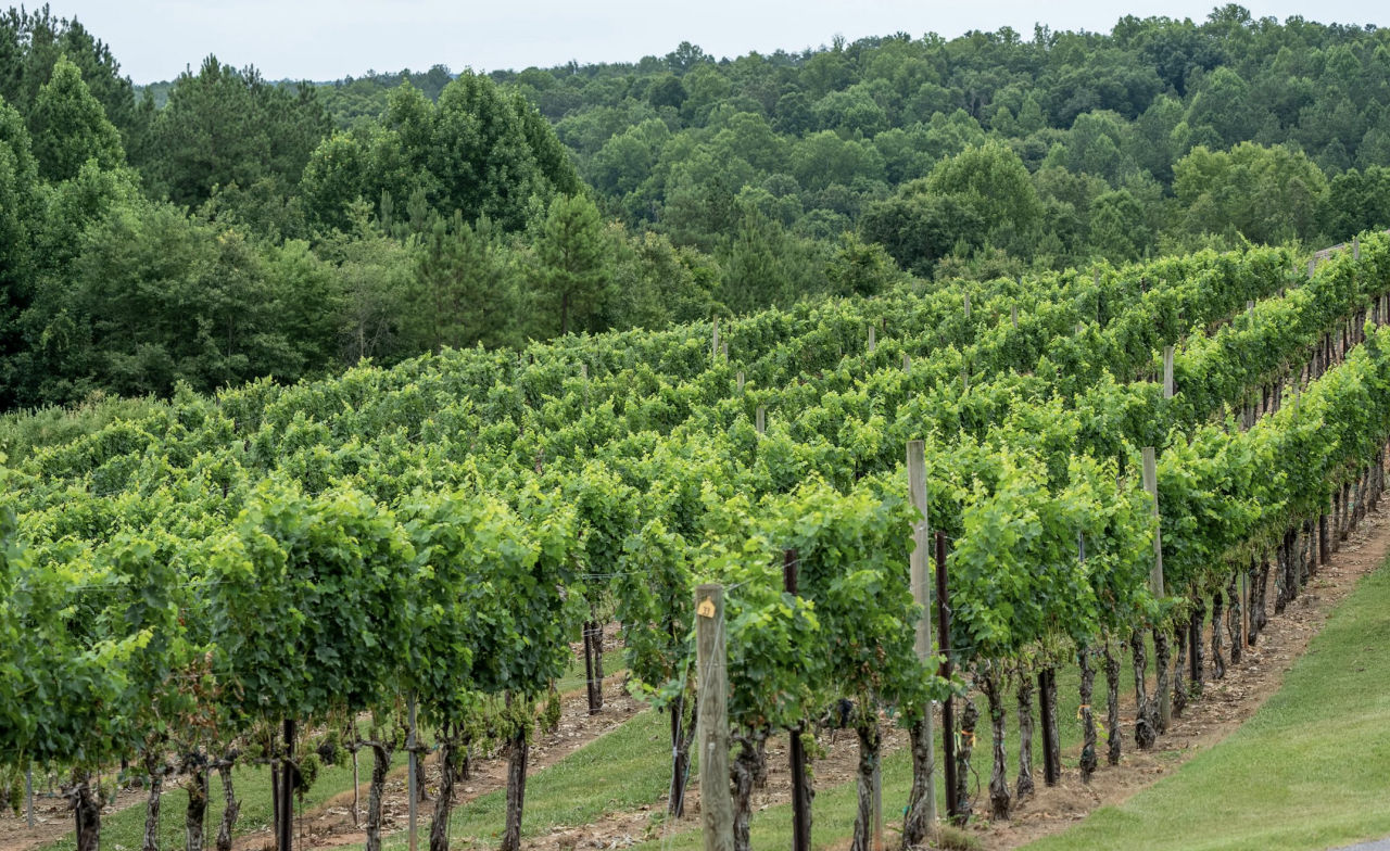 Industriale a Varna, Bulgaria, 1 000 m² - foto 2