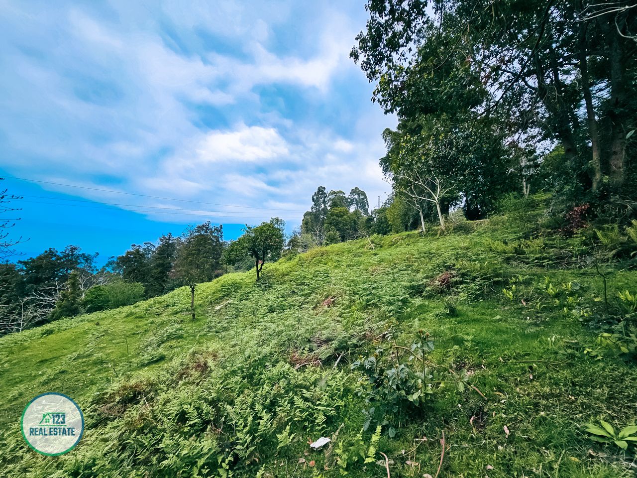 Terreno en Batumi, Georgia, 5 120 m² - imagen 11