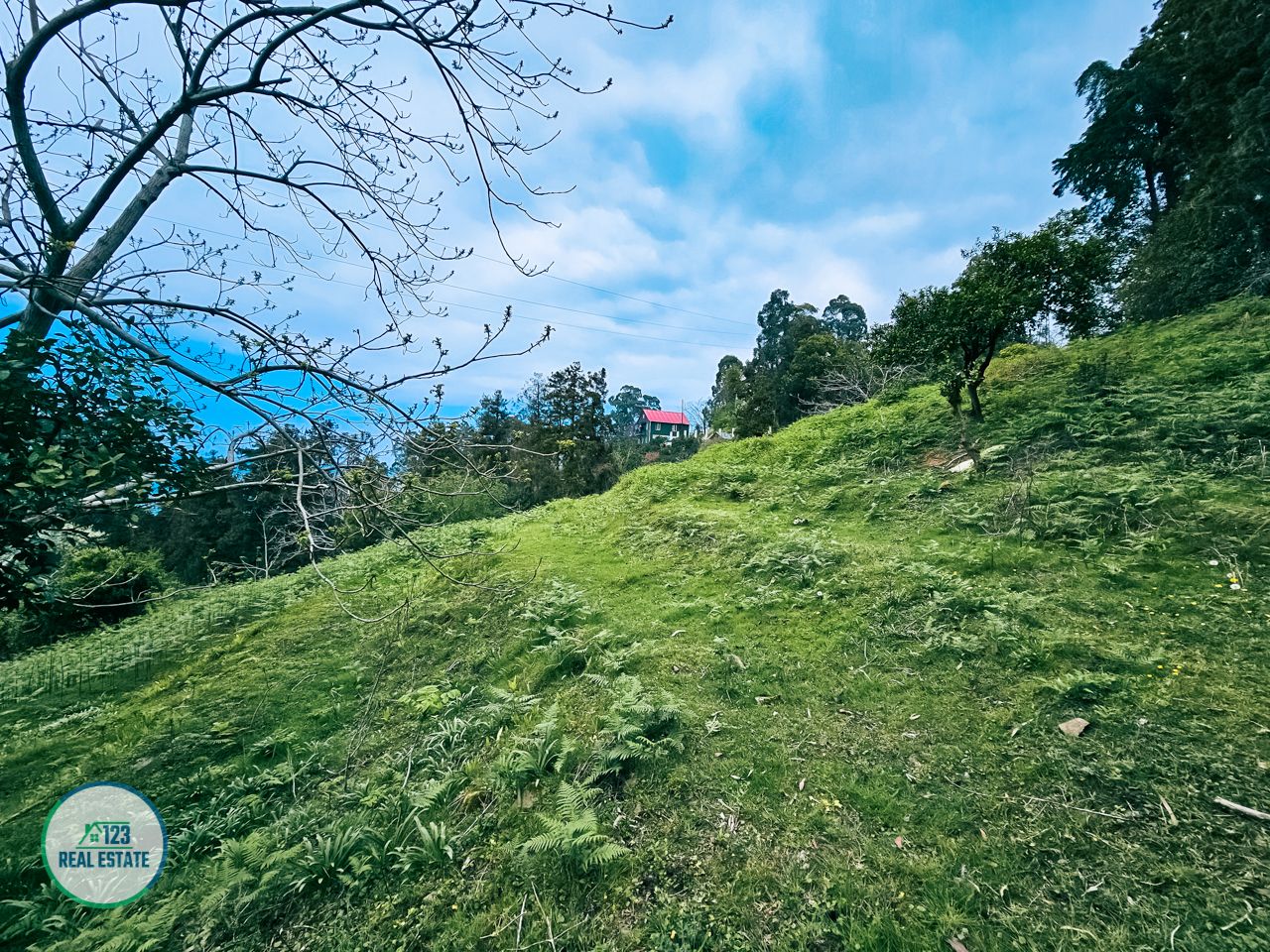 Terreno en Batumi, Georgia, 5 120 m² - imagen 14