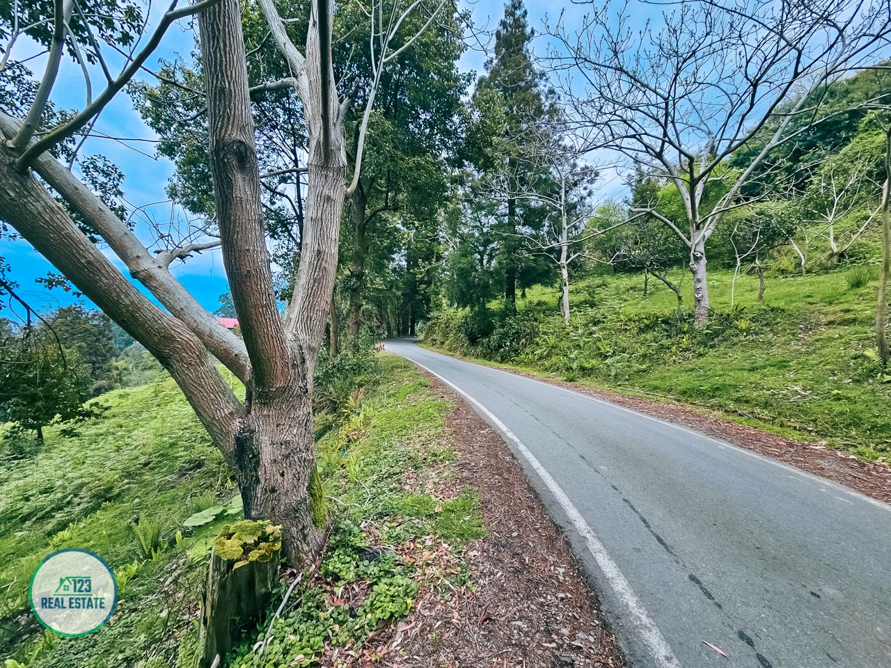 Terreno en Batumi, Georgia, 5 120 m² - imagen 2