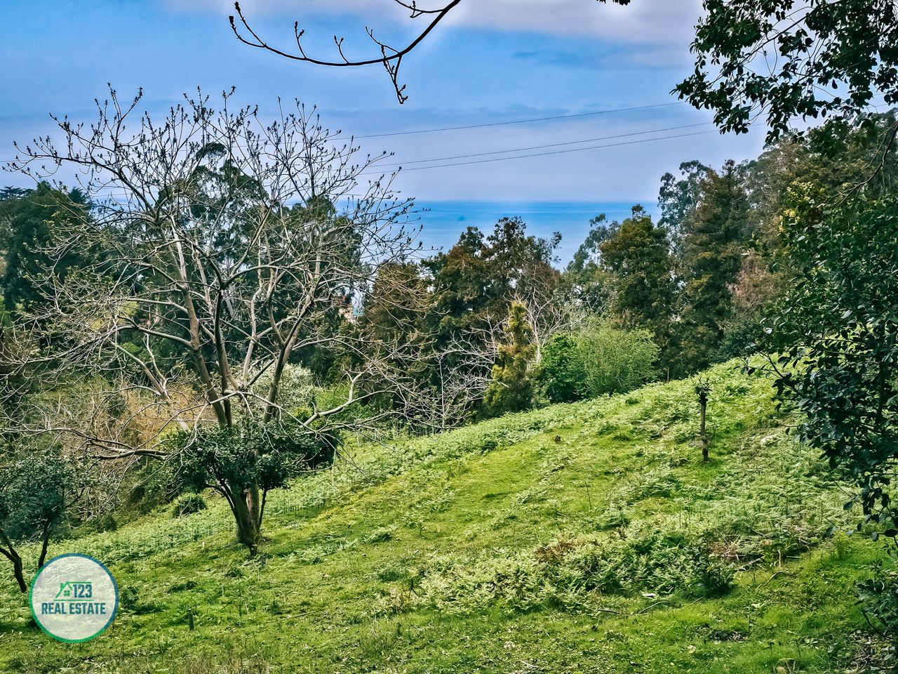 Terreno en Batumi, Georgia, 5 120 m² - imagen 5